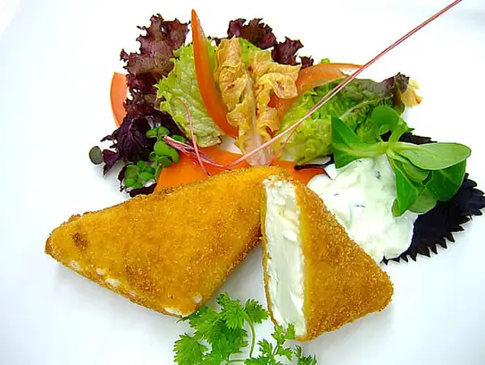 Gebackener Feta-Schafskäse auf Blattsalaten mit Zazikisauce