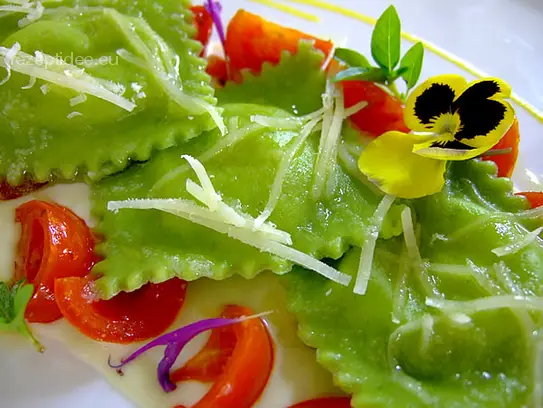 Grüne Teigtaschen mit Spinat-Mascarponefüllung auf Käsesauce